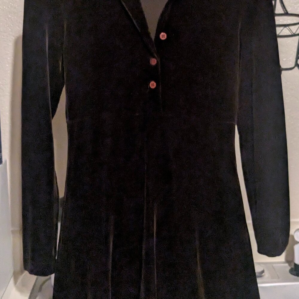 BCBG All Purpose Velvet Dress